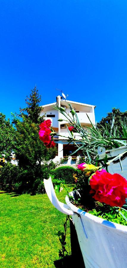 Apartments Sime Sukošan المظهر الخارجي الصورة
